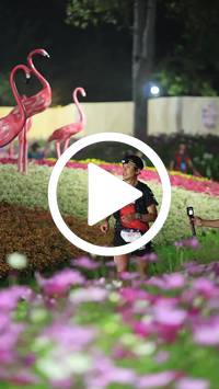 BIB:  <button type="button" onclick="openModal(27589944)" class="btn btn-primary btn-sm float-right" data-toggle="modal" data-target=".modal-high-quality">
                <i class="fa fa-download"></i> Download
                </button>